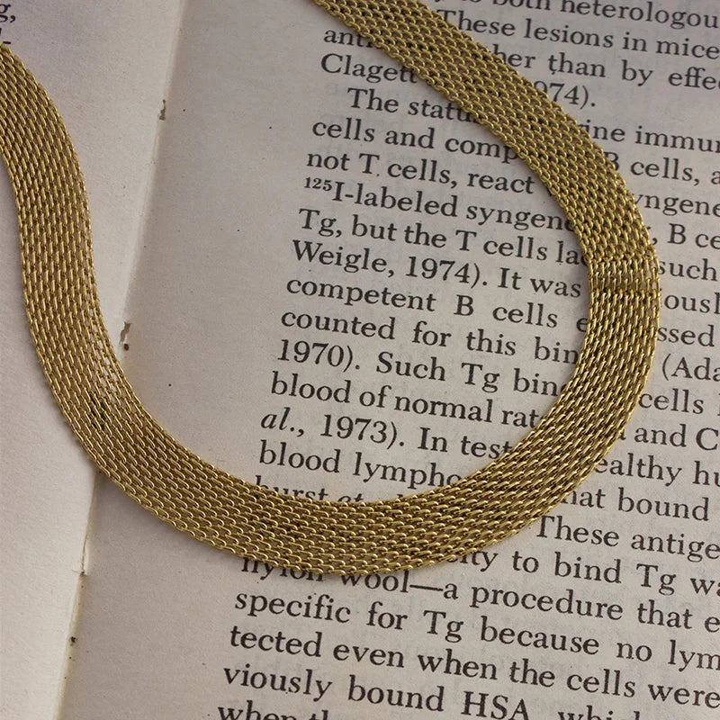 E.B.belle 3 Layers Gold Plating Stainless Steel Anti-allergy&Eco-friendly Wide Braided Mesh Chain Gold Choker Necklace For Women