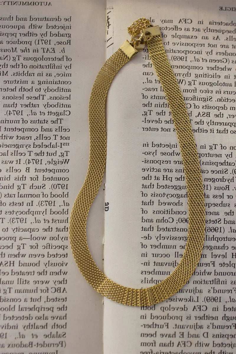 E.B.belle 3 Layers Gold Plating Stainless Steel Anti-allergy&Eco-friendly Wide Braided Mesh Chain Gold Choker Necklace For Women