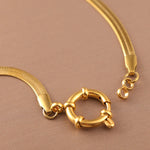 Colar Liv Corrente de Cobra